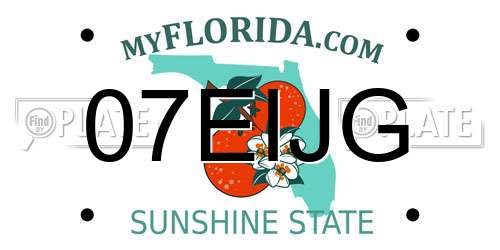 07EIJG Florida License Plate