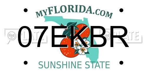 07EKBR Florida License Plate