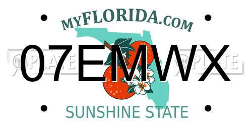 07EMWX Florida License Plate