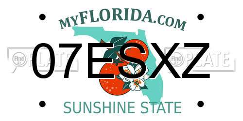 07ESXZ Florida License Plate