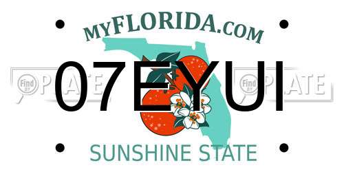 07EYUI Florida License Plate