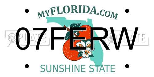 07FERW Florida License Plate