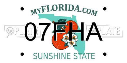 07FHA Florida License Plate