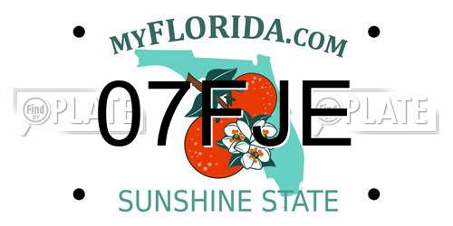 07FJE Florida License Plate