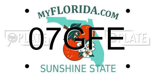07GFE Florida License Plate