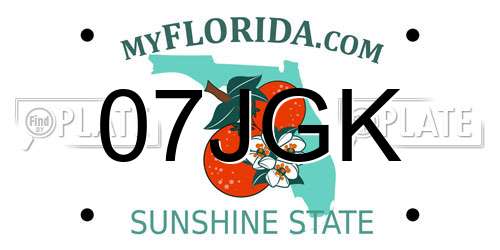 07JGK Florida License Plate
