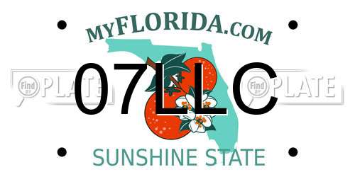 07LLC Florida License Plate
