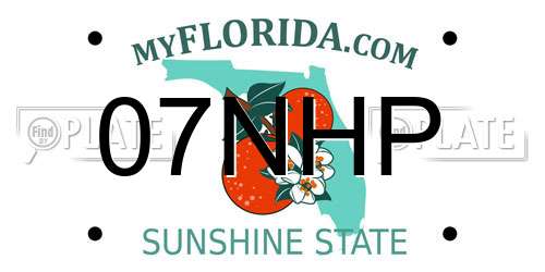07NHP Florida License Plate