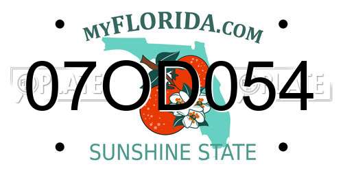 07OD054 Florida License Plate