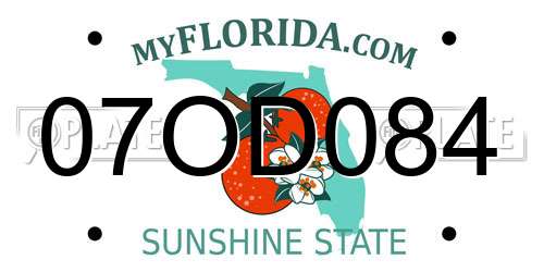 07OD084 Florida License Plate