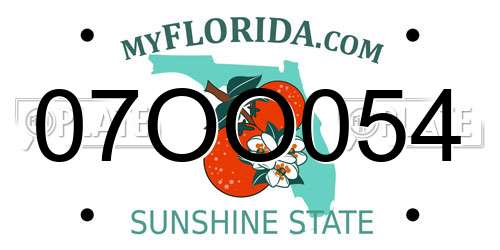 07OO054 Florida License Plate