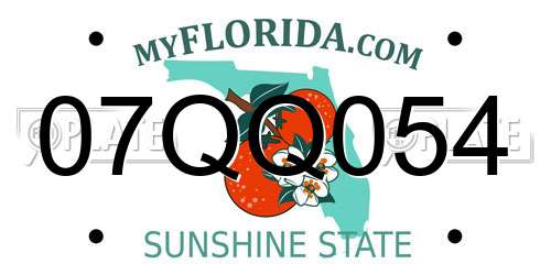 07QQ054 Florida License Plate