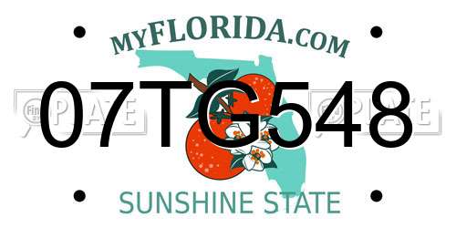 07TG548 Florida License Plate