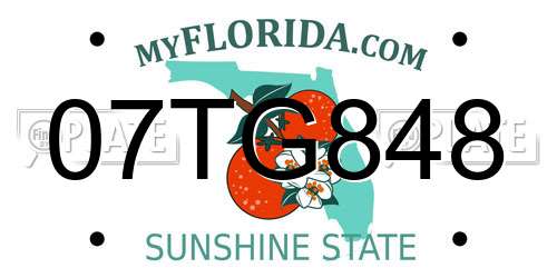 07TG848 Florida License Plate