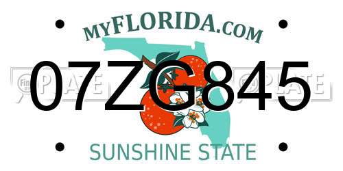07ZG845 Florida License Plate
