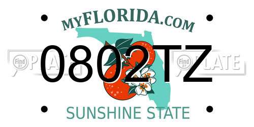 0802TZ Florida License Plate