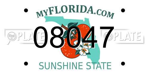 08047 Florida License Plate