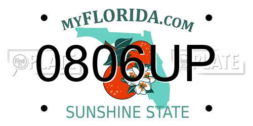 0806UP Florida License Plate