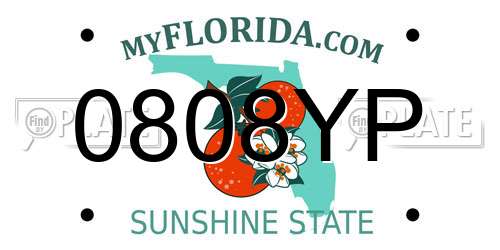 0808YP Florida License Plate