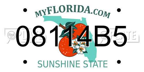 08114B5 Florida License Plate