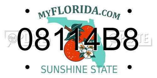 08114B8 Florida License Plate