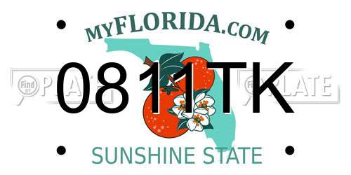 0811TK Florida License Plate
