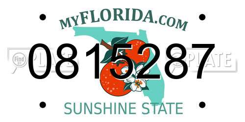 0815287 Florida License Plate