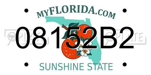 08152B2 Florida License Plate