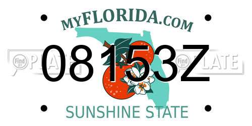 08153Z Florida License Plate