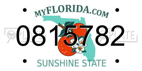0815782 Florida License Plate