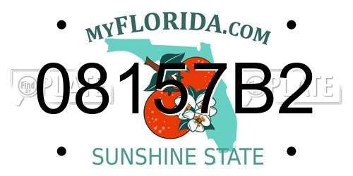 08157B2 Florida License Plate