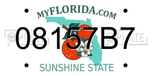 08157B7 Florida License Plate