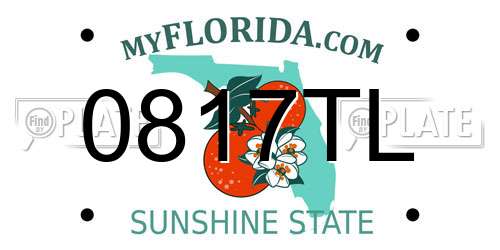 0817TL Florida License Plate