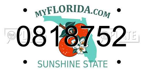 0818752 Florida License Plate