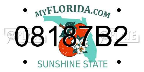 08187B2 Florida License Plate