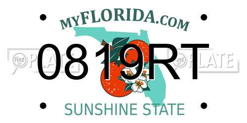 0819RT Florida License Plate
