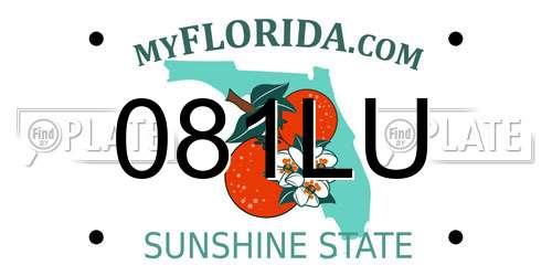 081LU Florida License Plate