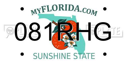 081RHG Florida License Plate