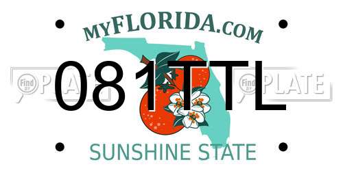 081TTL Florida License Plate
