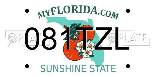 081TZL Florida License Plate