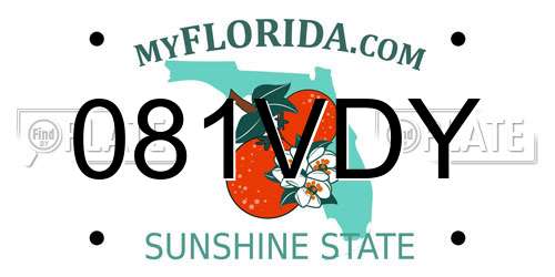081VDY Florida License Plate