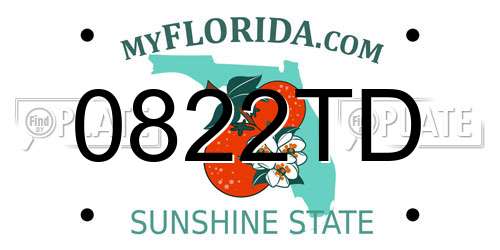0822TD Florida License Plate