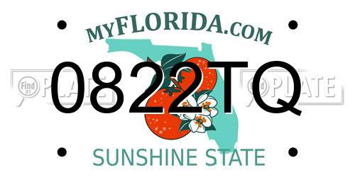 0822TQ Florida License Plate