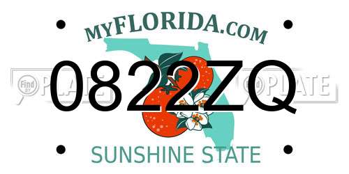 0822ZQ Florida License Plate