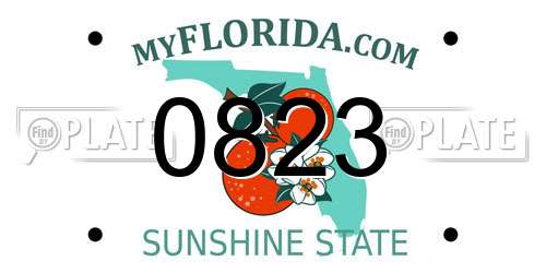 0823 Florida License Plate
