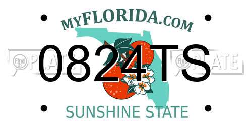 0824TS Florida License Plate