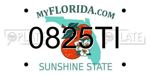 0825TI Florida License Plate