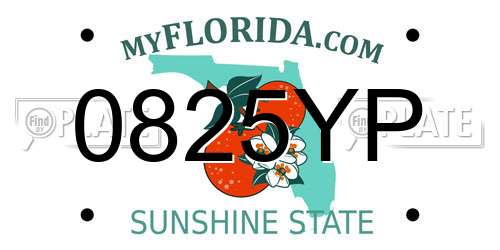 0825YP Florida License Plate