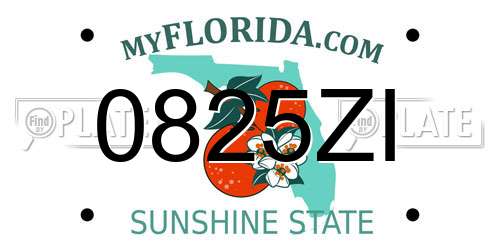 0825ZI Florida License Plate