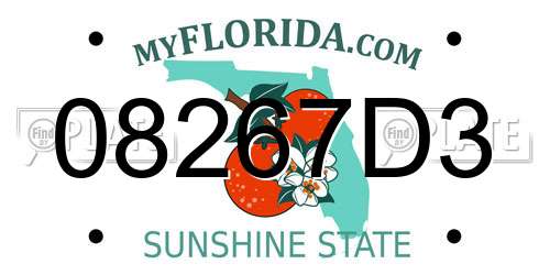 08267D3 Florida License Plate